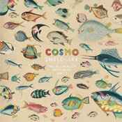 Cosmo Sheldrake - The Much Much How How & I